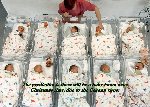 Thumb for baby boom.jpg (198 
KB)